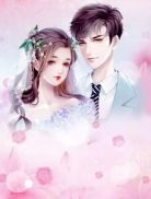 叶辰夏若雪孙怡章节列表